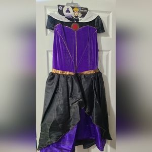 Disney Evil Queen Adult Costume XL